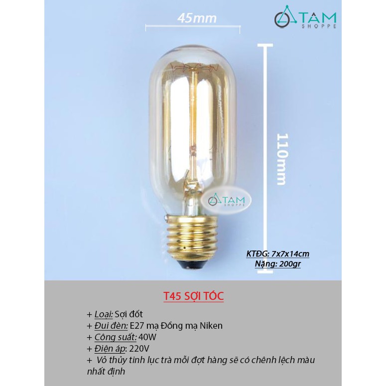 Bóng đèn sợi tóc Edison 1 đốt T45 DLTT