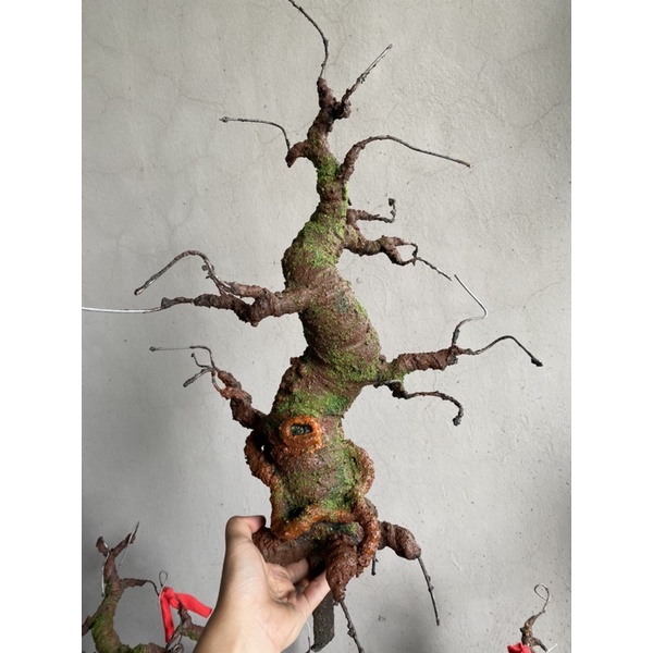 Gốc bonsai,thân cây bonsai thế Trực 40-45cm làm hoa mai,đào Handmade