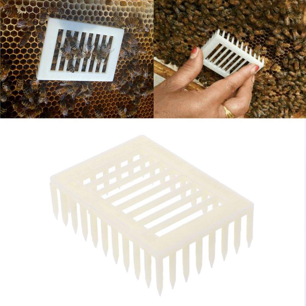 Lồng Nuôi Ong Chúa Thiết Thực Tiện Lợi