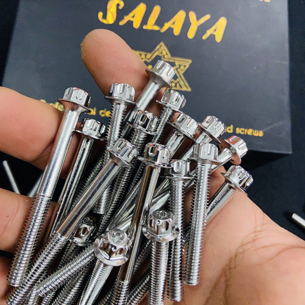 ỐC SALAYA 6LY ĐẦY ĐỦ CÁC SIZE GẮN LỐC MÁY, DÀN ÁO, ỐP PÔ XE MÁY