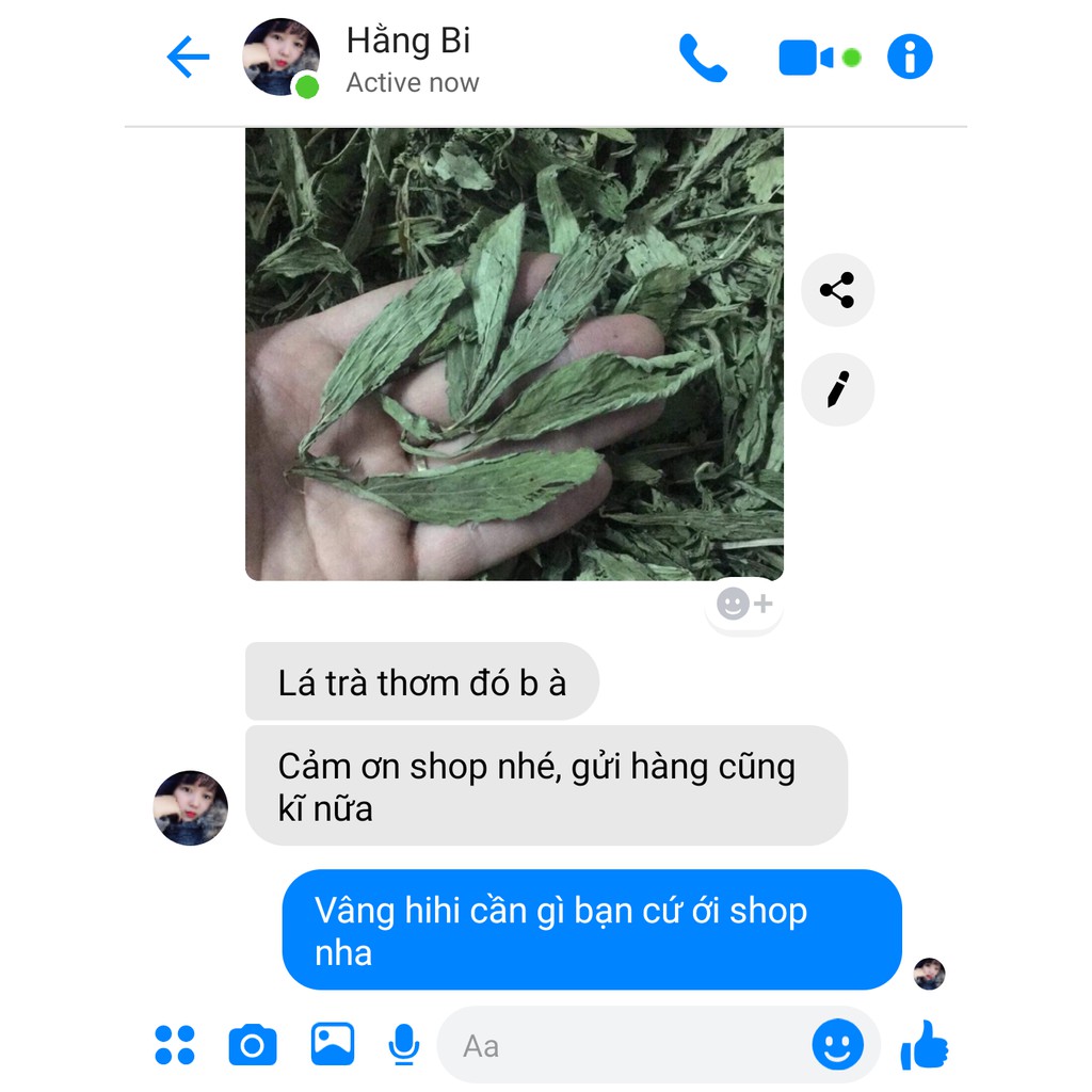 ✅[CHÍNH HÃNG] TRÀ CỎ NGỌT GIẢM CÂN KHẮC TINH TIỂU ĐƯỜNG, HUYẾT ÁP CAO LOẠI ĐẸP 100G