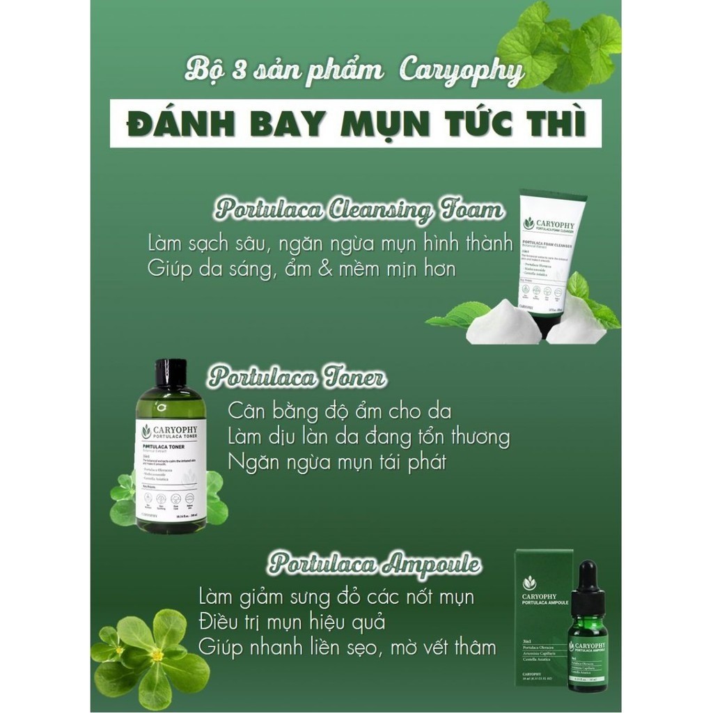 Nước hoa hồng dành cho da mụn Toner Caryophy Portulaca mờ thâm mụn làm dịu và cân bằng da , tẩy da chết 300ml | BigBuy360 - bigbuy360.vn