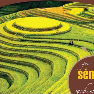 [RẺ VÔ ĐỊCH] Gạo Séng Cù Điện Biên (Hạt tròn)