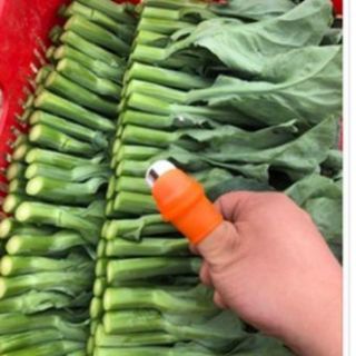 Bộ móng hái rau