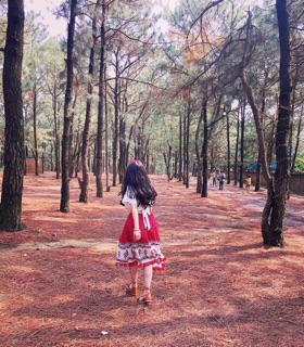 Áo BOHO, croptop nơ lưng, Áo tay loe
