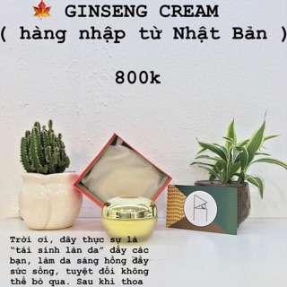 KEM NHÂN SÂM ( NHẬT BẢN )