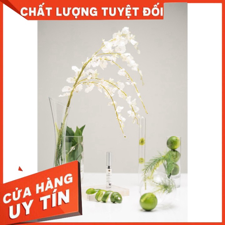 Gel dưỡng mi Nga Hoàng | BigBuy360 - bigbuy360.vn