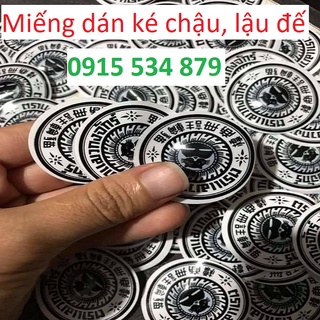 Miếng Dán Ké Chậu:T.rị lậu đế, thối đế cho gà