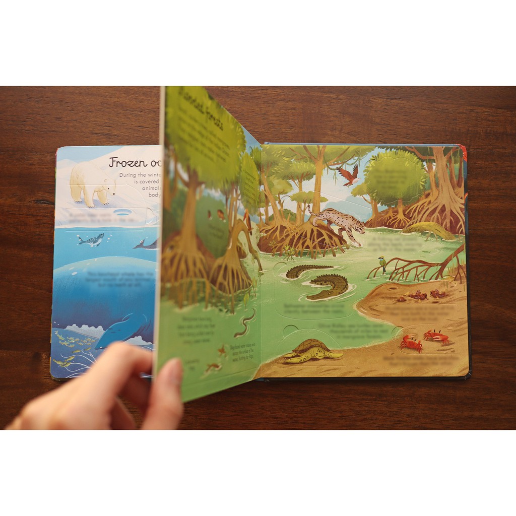 Sách lật mở khám phá Look Inside Seas and Oceans Usborne cho bé tìm hiểu biển và đại dương