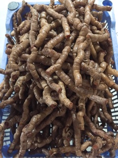 1KG BA KÍCH TÍM QUẢNG NINH HÀNG CHỌN ( LOẠI A1 )