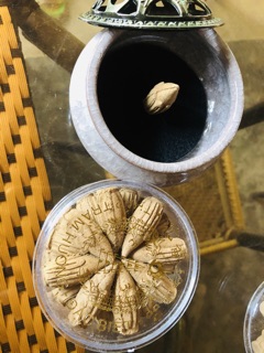 Combo dùng thử 1HỘP NHANG TRÂM và LƯ ĐỐT