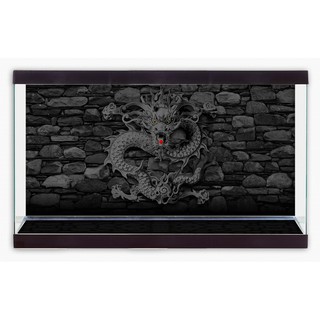 Phông nền hồ cá mặt sau và mặt đáy Aqua_067