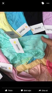 combo 5 quần lót cotton pha ren Modal