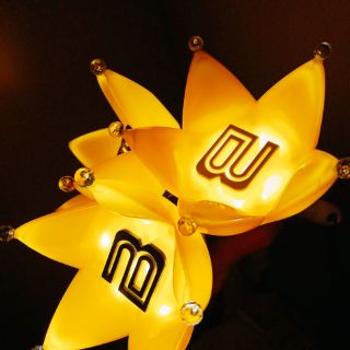 Lightstick BIGBANG dành cho VIP