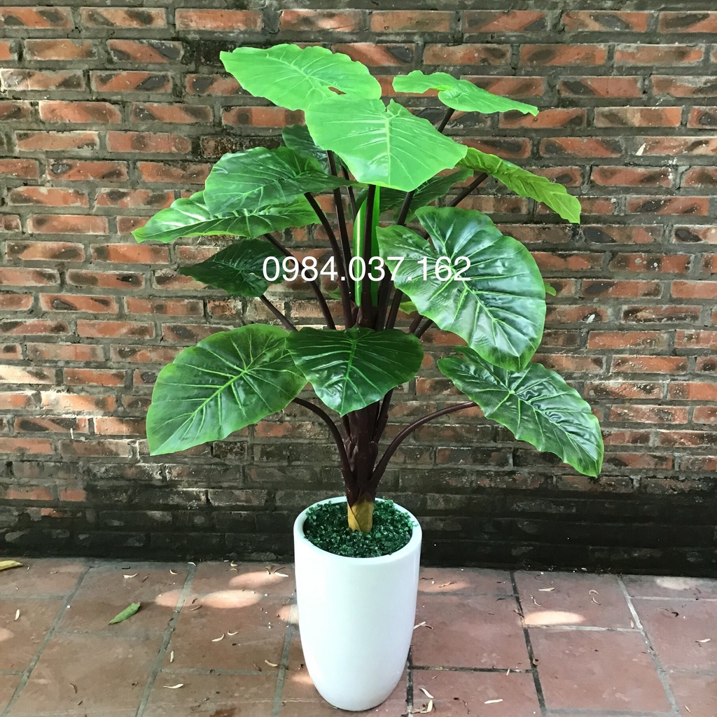 Cây Giả - Cây Trầu Bà Giả Trang Trí Văn Phòng Đẹp