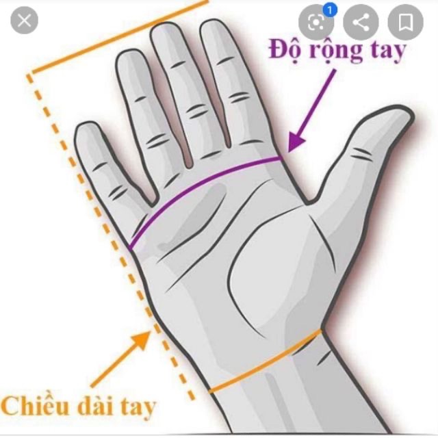 10 Cái Găng tay Y Tế HTC Không Bột, màu cao su tự nhiên