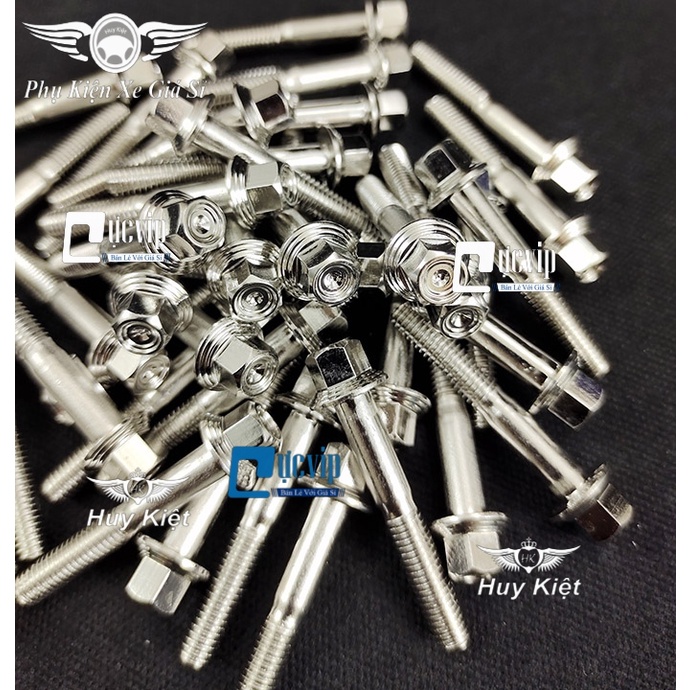 Bộ Ốc Lốc Máy Salaya PHAY THÁI Inox 304 Cho Raider Xăng Cơ (16 Con) MS5213