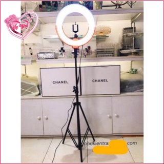 Cây Đèn Trợ Sáng Hỗ Trợ Live Stream Đèn Led 26Cm Make Up Cao 2M