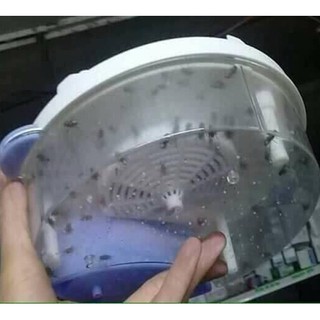Máy Bắt Ruồi Tự Động Thông Minh