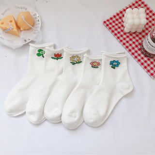 Tất Vớ Basic Zanmoo