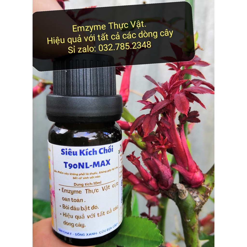 Siêu kích chồi T90 - NLmax 👍 kích chồi Mai vàng, bonsai, thân gỗ, hoa hồng, hoa lan....