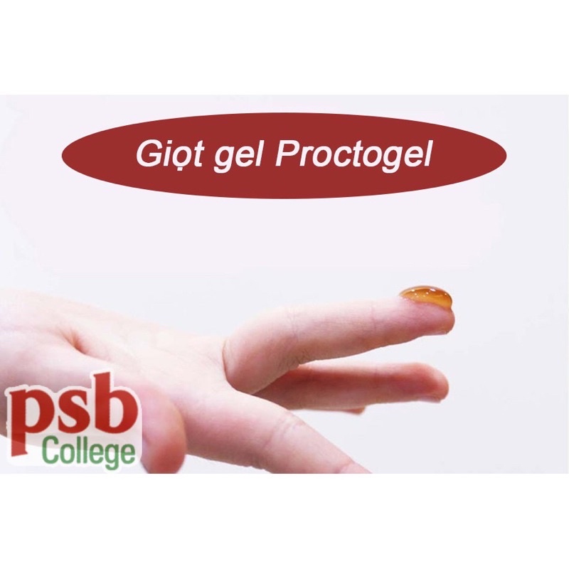 Proctogel - gel bôi trĩ tube 20g