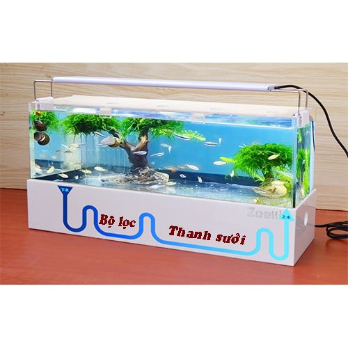 Bể cá betta 5 ngăn acrylic cao cấp
