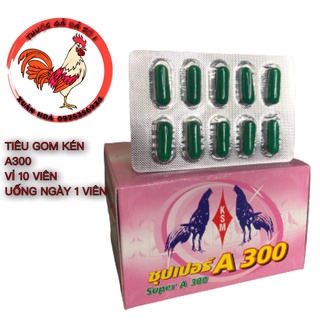 Tiêu Kén A300