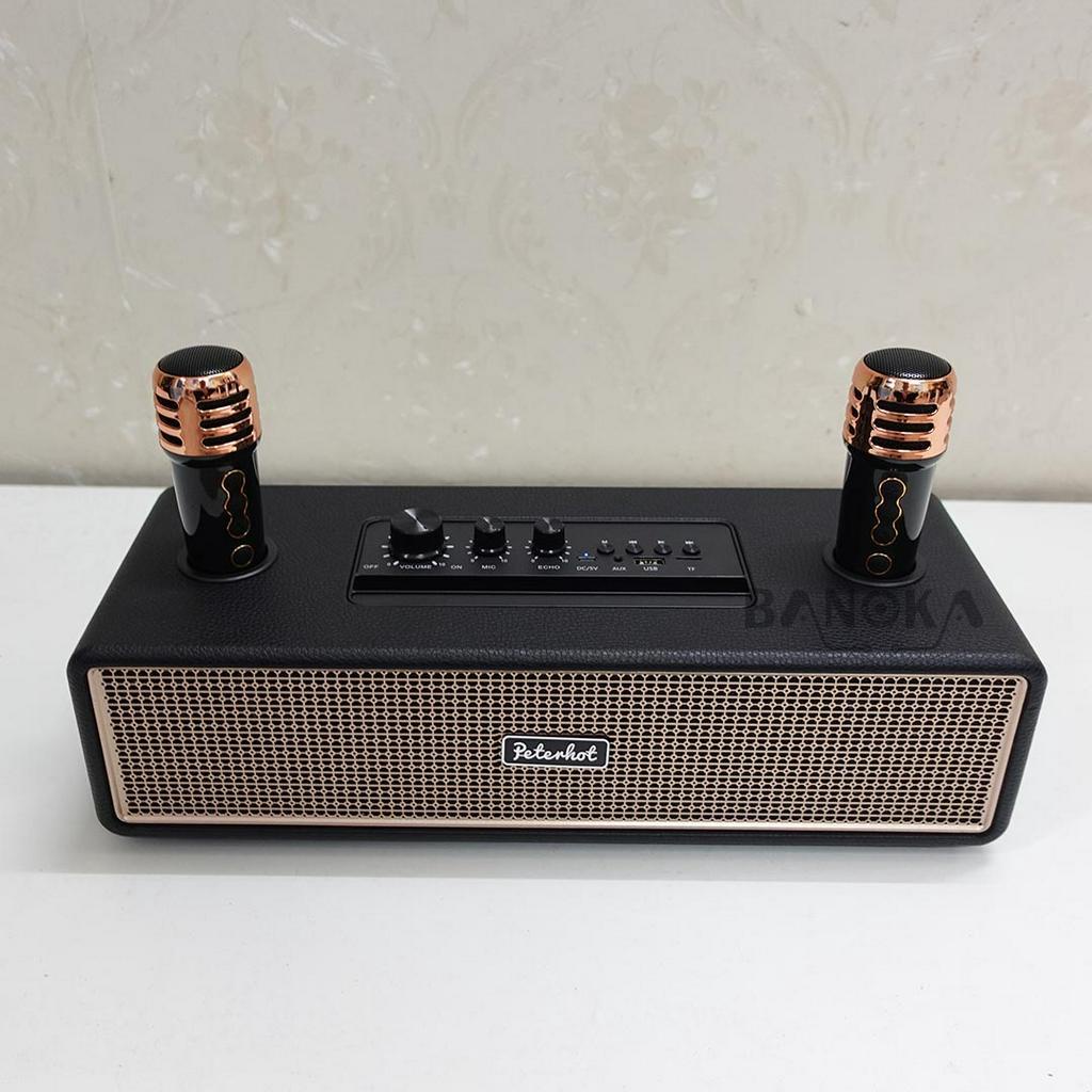 Loa karaoke bluetooth peterhot A2204 tặng kèm 2 tay micro không dây hát karaoke cực đỉnh