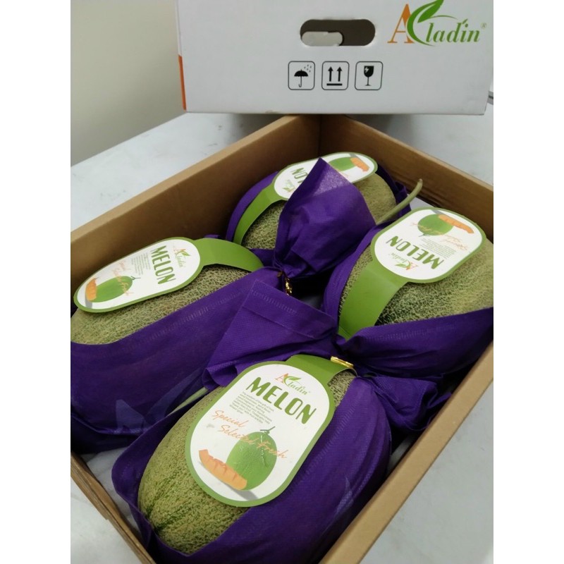 Dưa lưới Melon 1,5kg