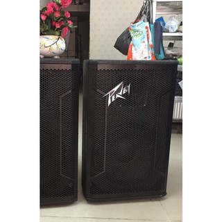 1 Chiếc vỏ thùng sơn Loa Sân khấu Bass 30