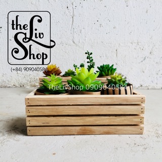 Chậu gỗ trồng cây (20cm)