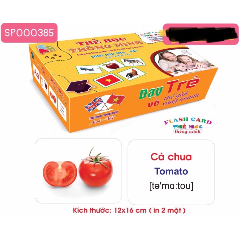 Bộ Thẻ Học Thông Minh 18 Chủ Đề Loại TO Song Ngữ Anh - Việt PP Glenn Doman Cho Bé Từ 0-6 Tuổi