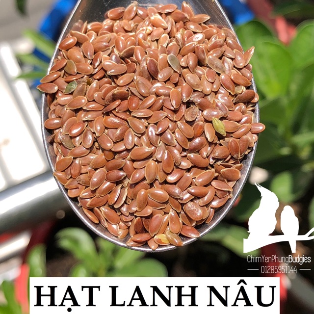 1KG HẠT LANH NÂU.