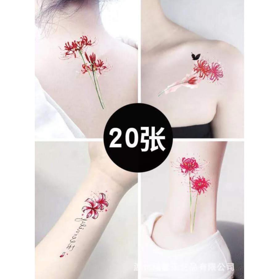 !!  Hình săm dán mẫu hoa bỉ ngạn