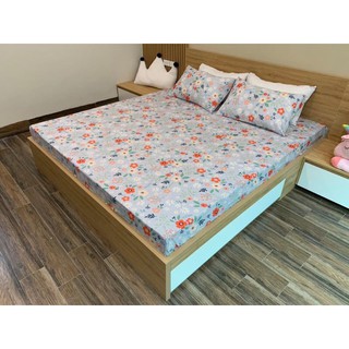 combo 2 bo ga gối cotton m8