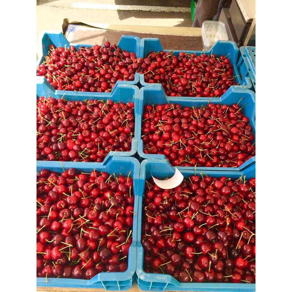 Cherry Đức