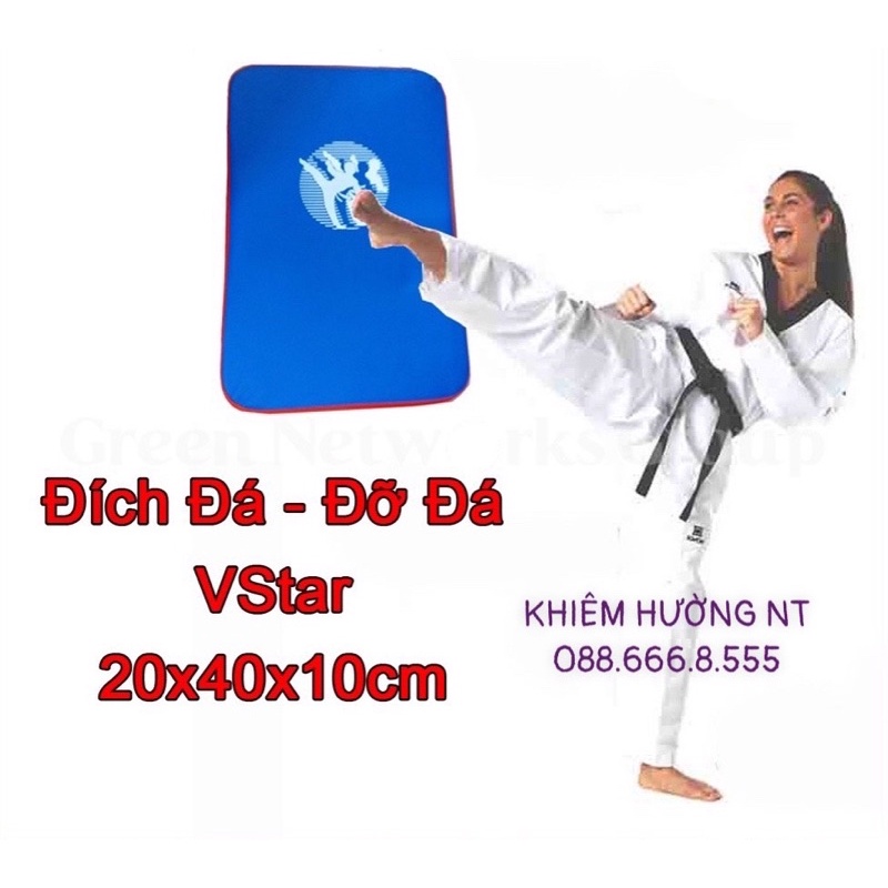 Đích đỡ đá,đỡ đấm Vuông 20x40 trong học Võ