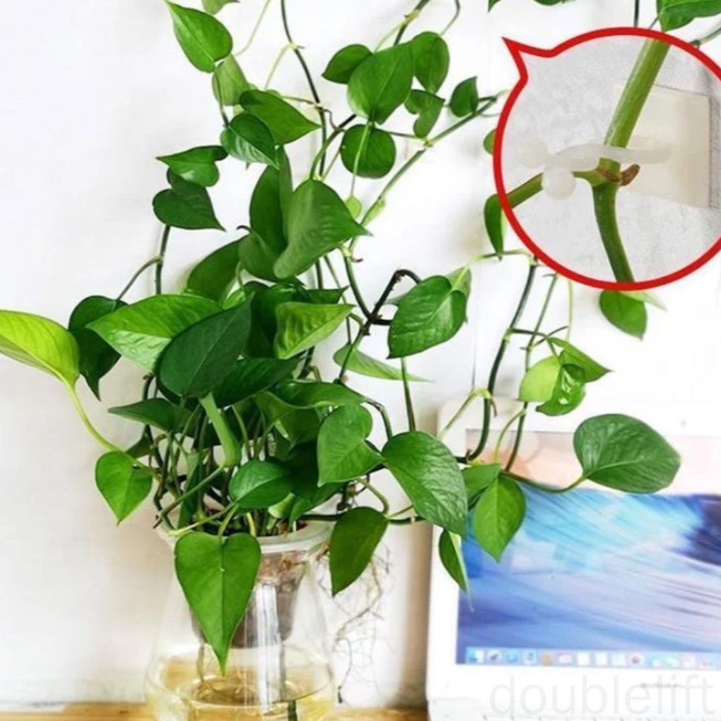 Set 10 Móc Treo Dây Leo Gắn Tường Tiện Lợi