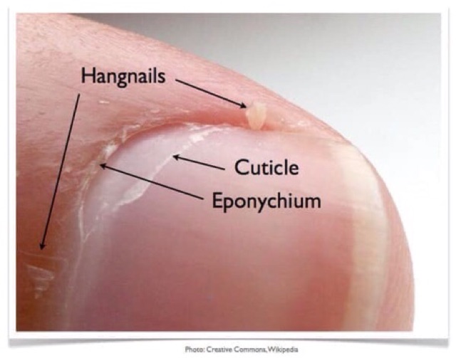 Kem mềm da nail Blue Cross