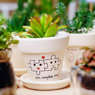 Chậu sen đá hình cute(chậu + sen đá)