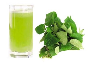 Bột rau diếp cá