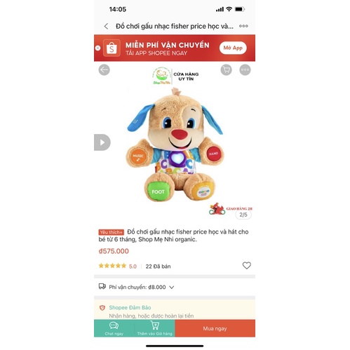 Đồ chơi gấu nhạc Fisher Price cho bé