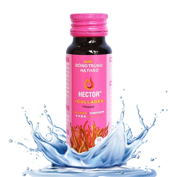 NƯỚC ĐÔNG TRÙNG HẠ THẢO HECTOR COLLAGEN