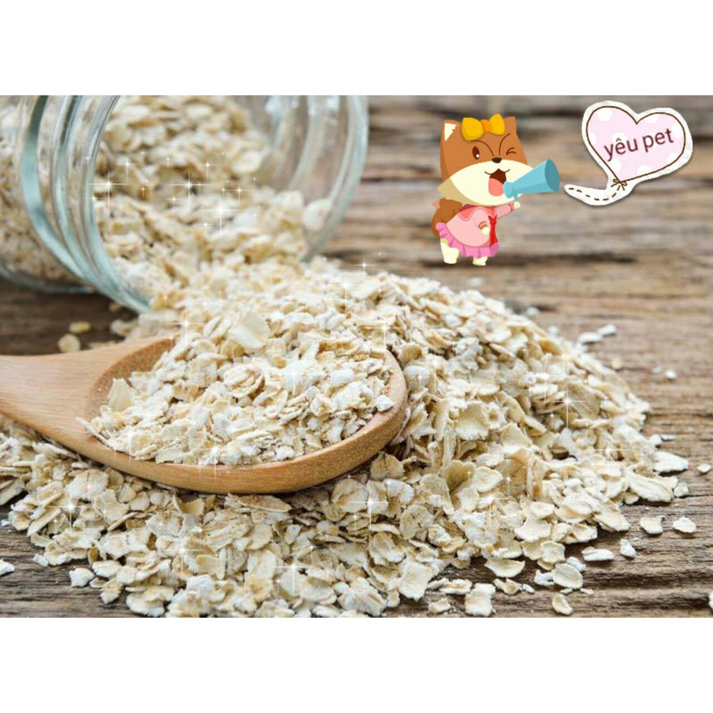 yến mạch sữa cho hamster nhím