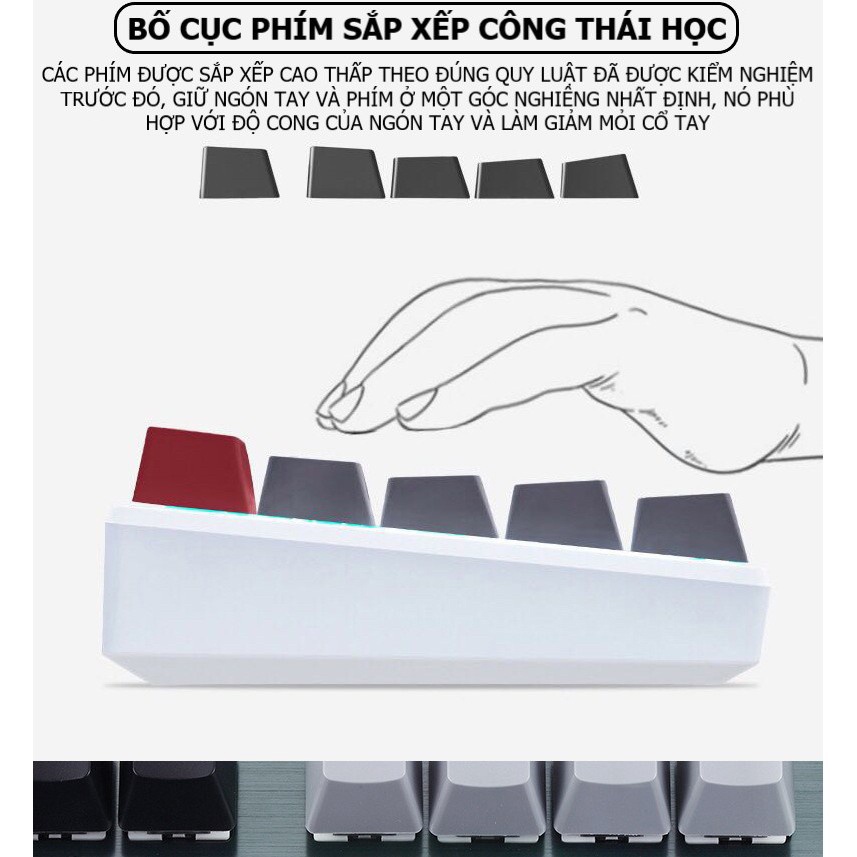 Bàn phím CƠ Bluetooth Không Dây Pin Sạc RF87 LED đẹp, phím blue switch cho máy tính pc laptop, điện thoại, máy tính bảng