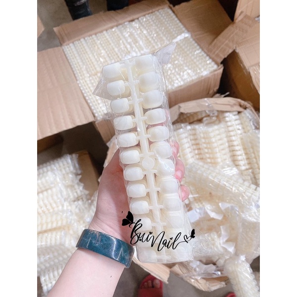 MÓNG MẪU HÀN 240móng