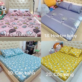 Bộ ga - gối cotton poly