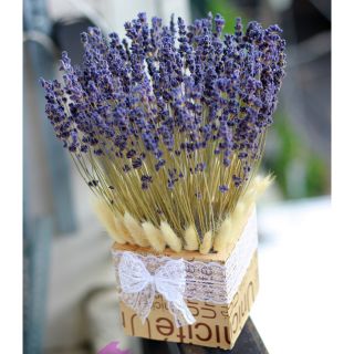 Lọ hoa lavender khô hộp gỗ vuông