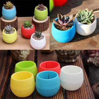 Chậu để bàn 7 x 7, chậu để bàn, chuyên trồng cây mọng nước